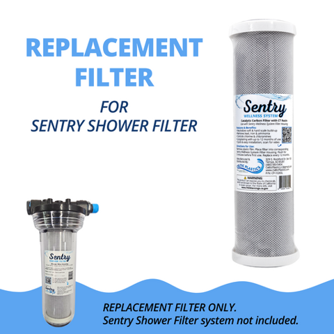 Sentry Shower Filter
