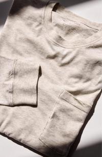 Taylor Stitch The Cotton Hemp Tee Heather Oat