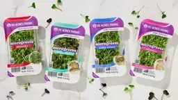 60 Acres Farms Super-Punch Micro-Greens