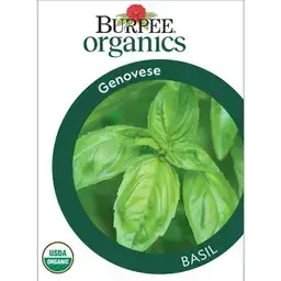 Burpee Organics Genovese Basil Herb