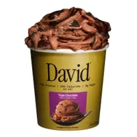 David Triple Chocolate Indulgent Frozen Dessert