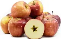 Eastern Grown Gala Apple