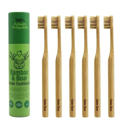 Gaia Guy Toothbrush