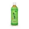 ITO EN Unsweetened Green Tea plastic bottle