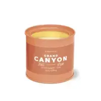 Paddywax Grand Canyon National Park Cactus Flower Fern