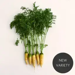 Row 7 Seed Company Certified Organic