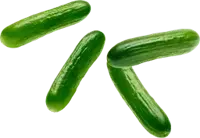 Sunset Cucumber