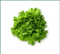 Microgreens