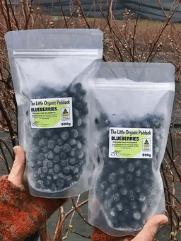 The Little Organic Paddock Blueberries