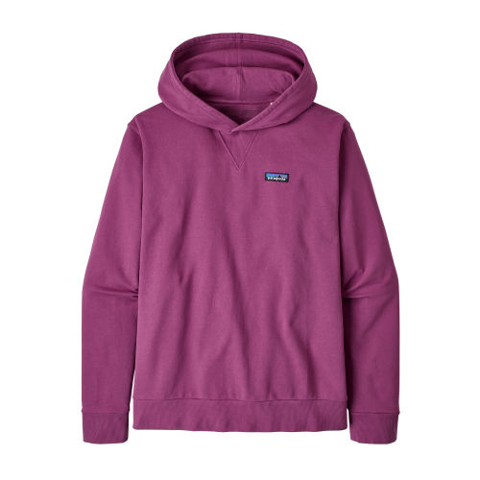 Patagonia Regenerative Organic Cotton Hoodie