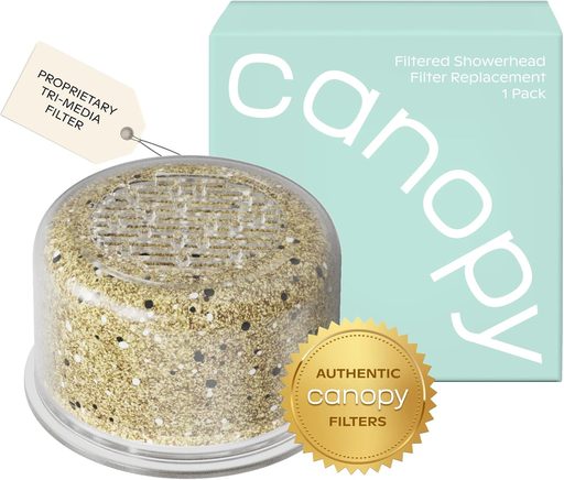 Canopy Shower Filter