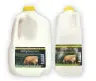AldayFarm Raw Cow Milk Original
