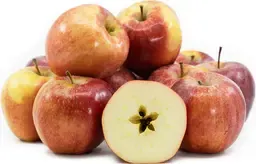 Eastern Grown Gala Apple