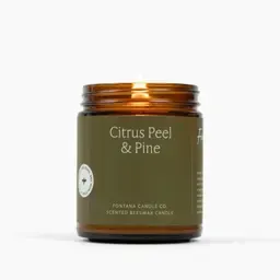 Fontana Candle Co. Scented Beeswax Candle Citrus Peel & Pine