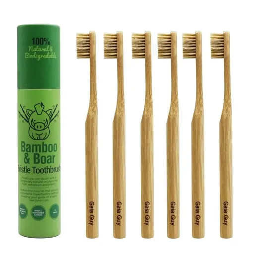 Gaia Guy Toothbrush