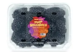 Golden Sweet Organic Sugarwild Blackberries