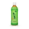 ITO EN Unsweetened Green Tea plastic bottle