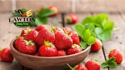 Lawton Family Farms Strawberries