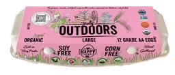 Truly Free Range Truly Outdoors Organic Large Grade AA Eggs