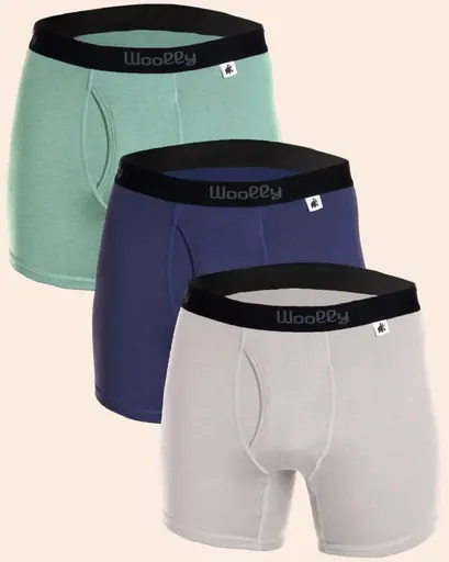 Woolly Everyday Boxer Brief 3 Pack