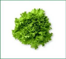 Hawaii Farming Greens