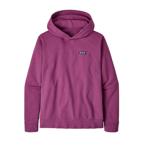 Patagonia Regenerative Organic Cotton Hoodie